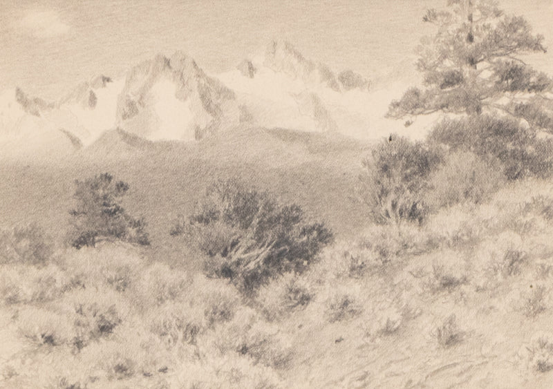 Charles Partridge Adams (1858-1942) artwork for sale. Untitled (Rocky Mountain National Park), Drawing, circa 1910, Denver, Colorado, Art Gallery)