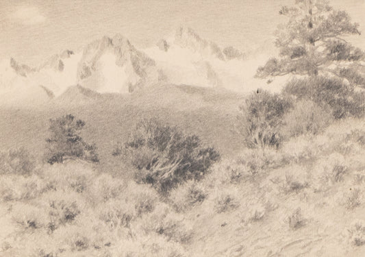 Charles Partridge Adams (1858-1942) artwork for sale. Untitled (Rocky Mountain National Park), Drawing, circa 1910, Denver, Colorado, Art Gallery)