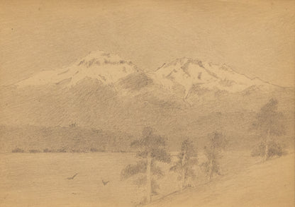 Charles Partridge Adams (1858-1942) artwork for sale. Untitled (Mountains with Pines), Drawing, circa 1910, Denver, Colorado, Art Gallery)