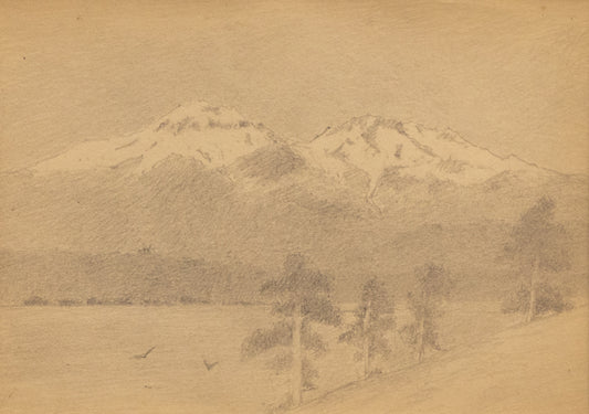 Charles Partridge Adams (1858-1942) artwork for sale. Untitled (Mountains with Pines), Drawing, circa 1910, Denver, Colorado, Art Gallery)