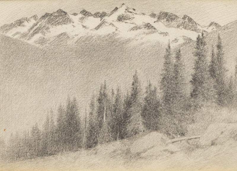 Charles Partridge Adams (1858-1942) artwork for sale. Untitled (Mountains and Pine Trees), Drawing, circa 1910, Denver, Colorado, Art Gallery)