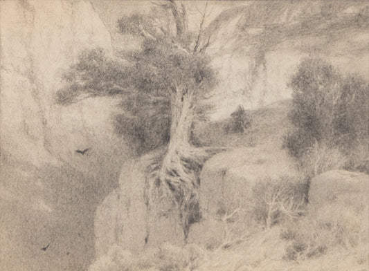 Charles Partridge Adams (1858-1942) artwork for sale. Untitled (Flying Birds, Tree Growing in Crack), Drawing, circa 1910, Denver, Colorado, Art Gallery)