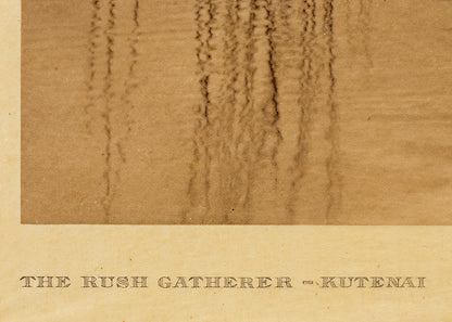 The Rush Gatherer- Kutenai, Portfolio 7, Plate 255, Photogravure, 1910