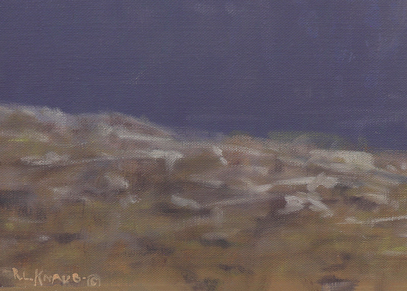 Terra Tomah Mountain - Rocky Mountain National Park, Colorado, Painting