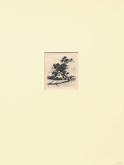 A Santa Barbara Road, California (Road with Trees and Hills), Print, circa 1913