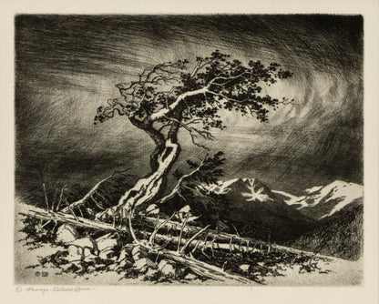 George Elbert Burr (1859-1939) artwork for sale. Timberline Pine (Estes Park, Colorado), Print, 1917, Denver, Colorado, Art Gallery)