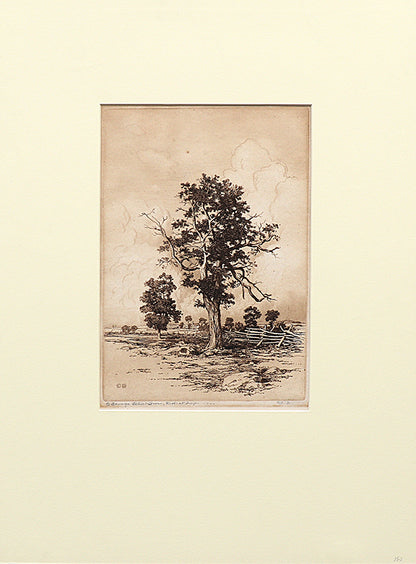 Old Oaks (Landscape of Oak Trees and Fence), Print, 1920
