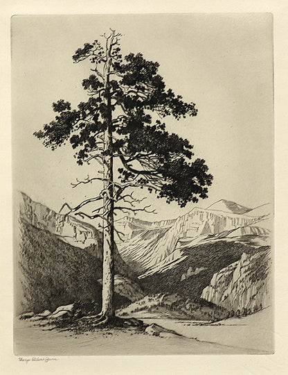 George Elbert Burr (1859-1939) artwork for sale. Moraine Park, Estes Park, Colorado (Mountain Moods), Print, circa 1916, Denver, Colorado, Art Gallery)