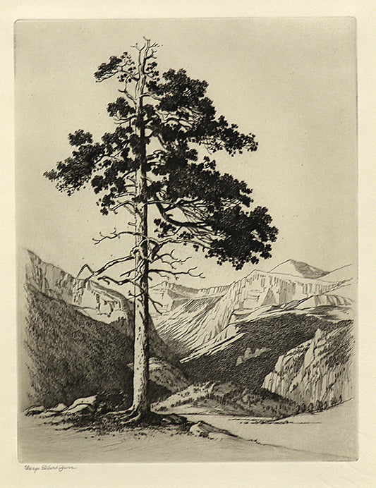 George Elbert Burr (1859-1939) artwork for sale. Moraine Park, Estes Park, Colorado (Mountain Moods), Print, circa 1916, Denver, Colorado, Art Gallery)