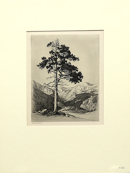 Moraine Park, Estes Park, Colorado (Mountain Moods), Print, circa 1916