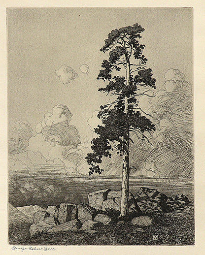 George Elbert Burr (1859-1939) artwork for sale. Solitary Pine (Mountain Moods), Print, circa 1916, Denver, Colorado, Art Gallery)