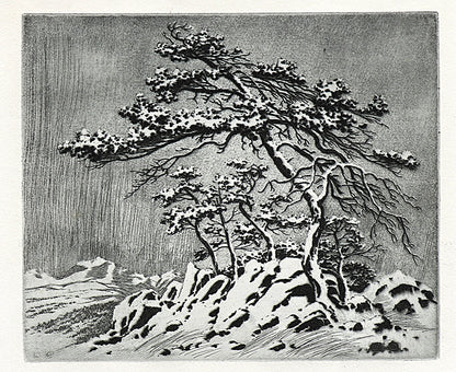 George Elbert Burr (1859-1939) artwork for sale. Untitled (Snow Storm, Estes Park), Print, circa 1915, Denver, Colorado, Art Gallery)