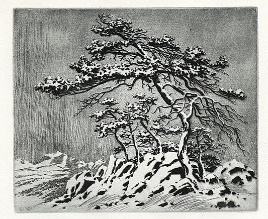 George Elbert Burr (1859-1939) artwork for sale. Untitled (Snow Storm, Estes Park), Print, circa 1915, Denver, Colorado, Art Gallery)