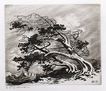George Elbert Burr (1859-1939) artwork for sale. Pines in Wind, Estes Park (Pines In Winter, Colorado), Print, circa 1915, Denver, Colorado, Art Gallery)
