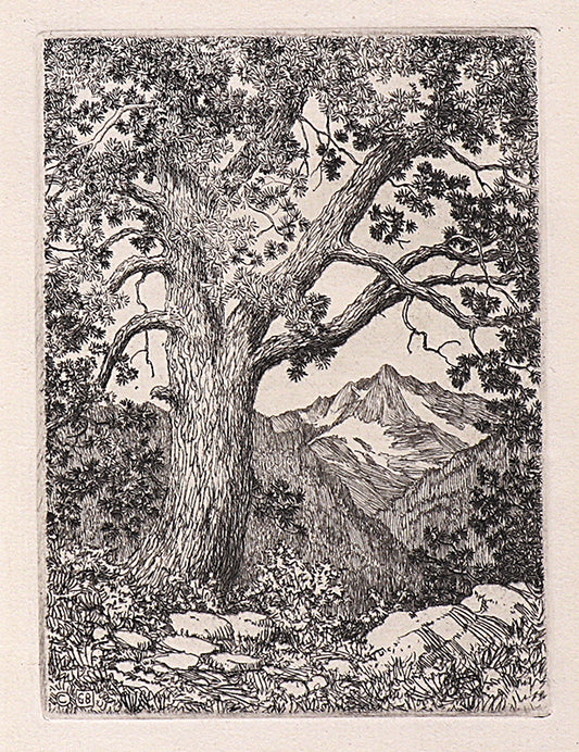 George Elbert Burr (1859-1939) artwork for sale. Moraine Park, Estes Park, Colorado (Summer), Print, 1921, Denver, Colorado, Art Gallery)