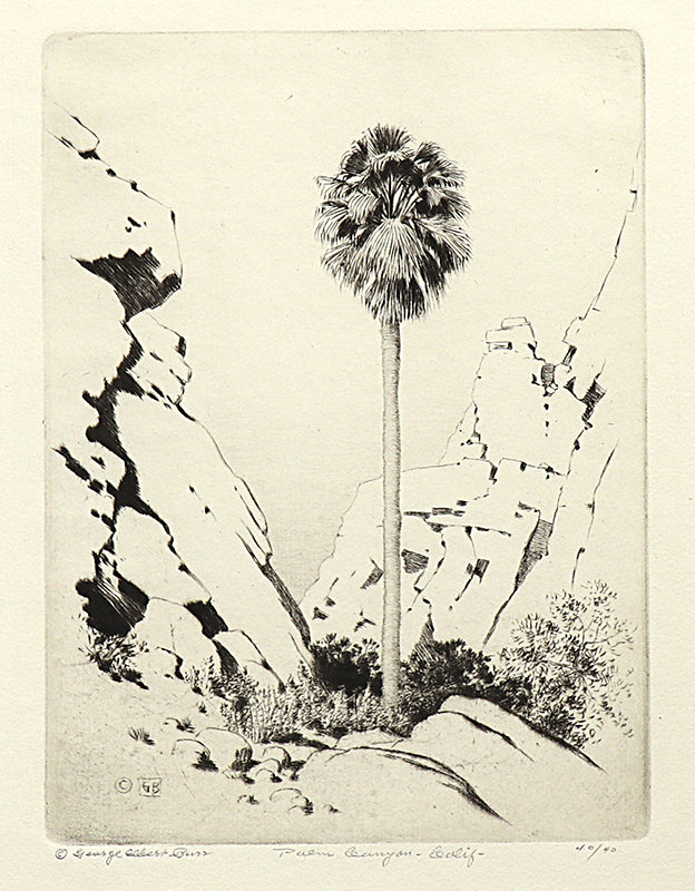 George Elbert Burr (1859-1939) artwork for sale. Palm Canyon, California (Desert Set), Print, circa 1921, Denver, Colorado, Art Gallery)