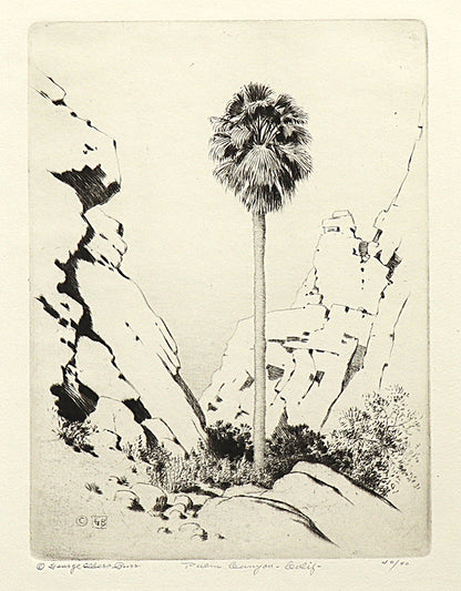 George Elbert Burr (1859-1939) artwork for sale. Palm Canyon, California (Desert Set), Print, circa 1921, Denver, Colorado, Art Gallery)
