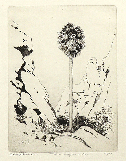 George Elbert Burr (1859-1939) artwork for sale. Palm Canyon, California (Desert Set), Print, circa 1921, Denver, Colorado, Art Gallery)