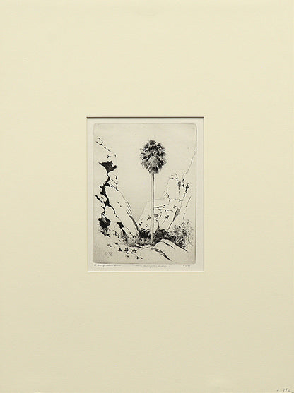 Palm Canyon, California (Desert Set), Print, circa 1921
