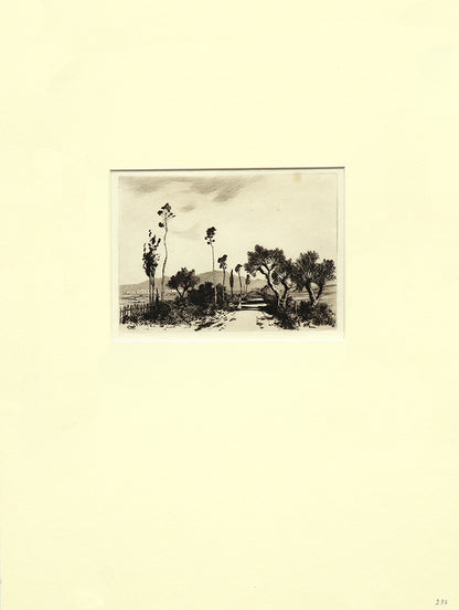 Road in the Campagna, Rome (Italy), Print, circa 1905