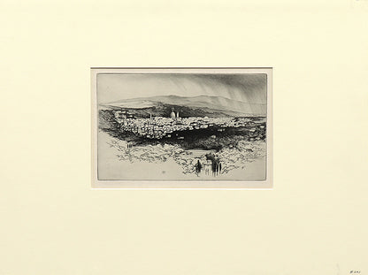 Florence from Fiesole (Italy), Print, circa 1905