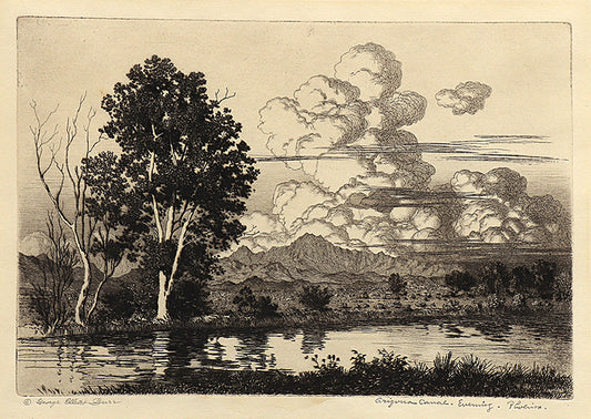 George Elbert Burr (1859-1939) artwork for sale. Arizona Canal Evening, Phoenix (Landscape of the Arizona Canal), Print, circa 1925, Denver, Colorado, Art Gallery)