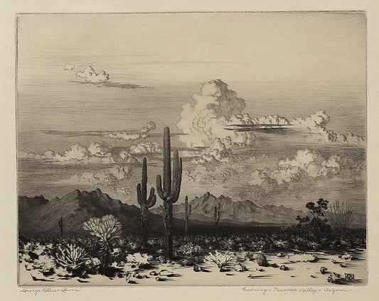 George Elbert Burr (1859-1939) artwork for sale. Evening, Paradise Valley, Arizona (Landscape with Cacti and Mountains), Print, circa 1925, Denver, Colorado, Art Gallery)