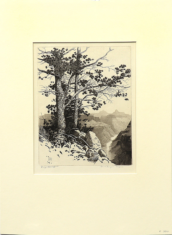 Grand Canyon, Arizona (Desert Set), Print, 1931