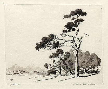 George Elbert Burr (1859-1939) artwork for sale. Spanish Peaks, Colorado, Print, circa 1925, Denver, Colorado, Art Gallery)