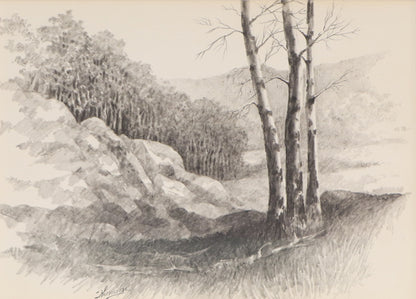 Herbert Thomson (1926-2001) artwork for sale. Untitled (Aspen Grove, Colorado), Drawing, Denver, Colorado, Art Gallery)