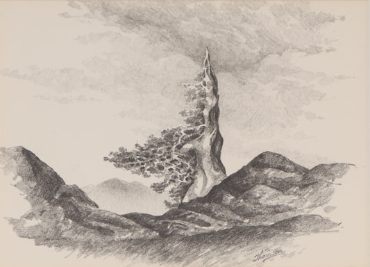 Herbert Thomson (1926-2001) artwork for sale. Untitled (Old Bristlecone Pine), Drawing, Denver, Colorado, Art Gallery)