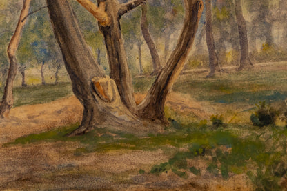 Untitled (Spring Trees, Near Denver, Colorado), Painting, 1888