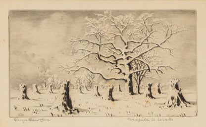 George Elbert Burr (1859-1939) artwork for sale. Cornfield in Winter (Snowy Landscape with Cornstalks and Trees), Print, Denver, Colorado, Art Gallery)